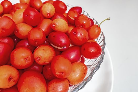 cranberry fruits in decorative plate