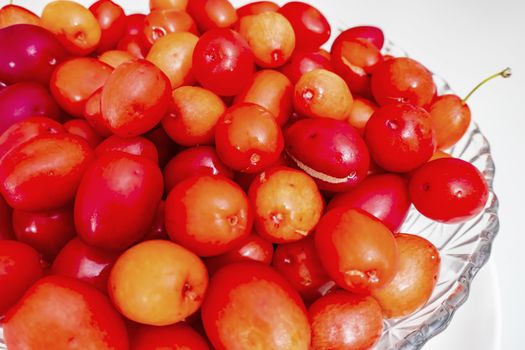 cranberry fruits in decorative plate