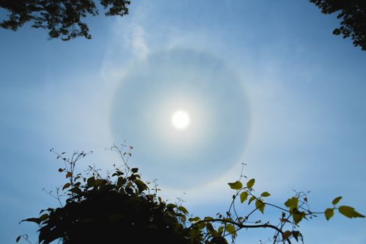 Atmospheric optical effect circle around the sun on hot summer day