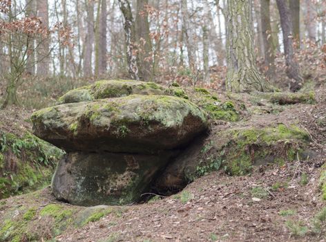 sandstone rock mushroom shape  covered by moss and fern in winter forest, czech republic