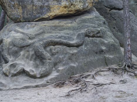 big snake sculpted to the sandstone rock in 1846 by Vaclav Levy in forest in Zelizy, czech republic