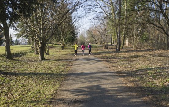 three people , young women and men running or jogging on publick park road in Prague Hostivar, early spring sunny day, tree and blue sky background