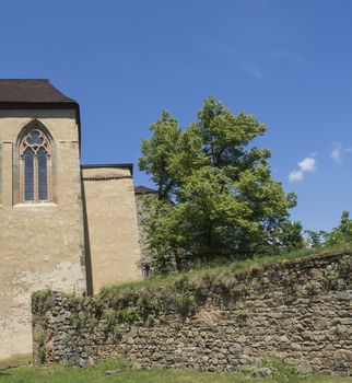 old stone wall, gothic facade with window, green tree and blue sky background, Zvikov, Czech republic