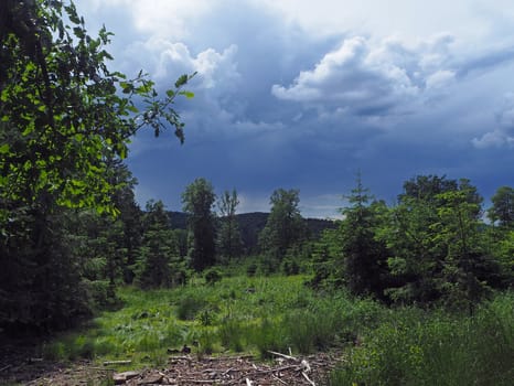 forest and meadow before rain with dark clouds