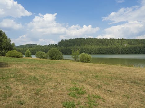 summer landscape with green lake or pond with spruce tree hill, sandstne rock and grass meadow trees, blue sky, white clouds background