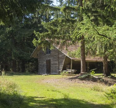 Old wooden mountain house log cabin built from wood in spruce tree forest on summer sunny day.