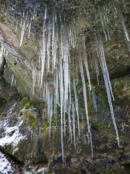 The closeup view of long hanging icicles from the old rugged sandstone rock with moss and lichens.