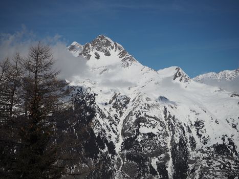 Alpine mountain view in europe winter snow with spruce trees