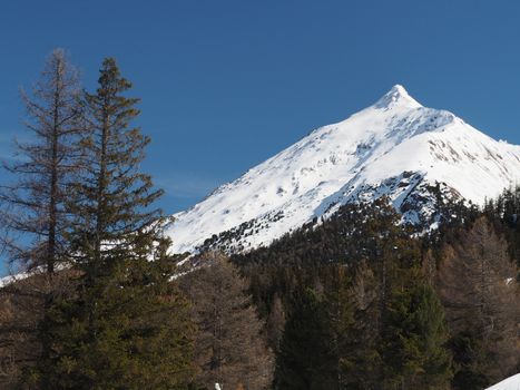 Alpine mountain view in europe winter snow with spruce trees