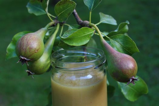 The picture shows pear sauce in front of a pear tree