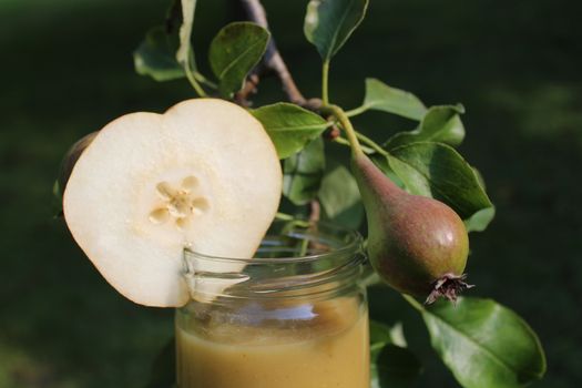 The picture shows pear sauce in front of a pear tree