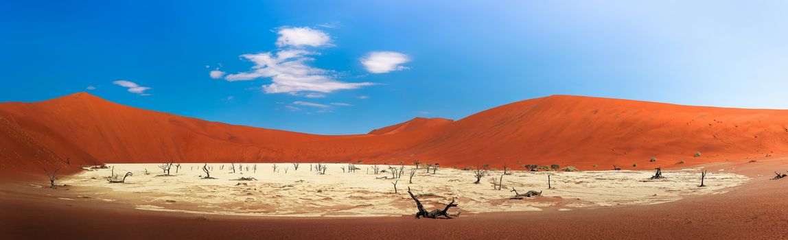 Panorama of dead camel thorn trees and the red dunes in Deadvlei near the famous salt pan of Sossusvlei. Deadvlei and Sossuvlei are located in the Namib-Naukluft National Park, Namibia.