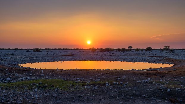 Beautiful sunset over the waterhole of Okaukuejo Campsite in Etosha National Park, Namibia