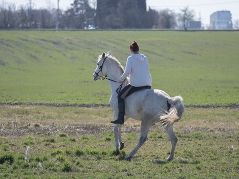 Young sport woman, redhead girl riding on white horse walking backwards at green spring field at city. Seen from back.
