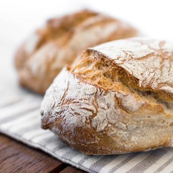 Extreme clos-up of rustic Italian bread, isolated on background out of focus.