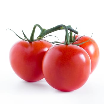 Three organic tomatoes (no OGM) isolated on white background.