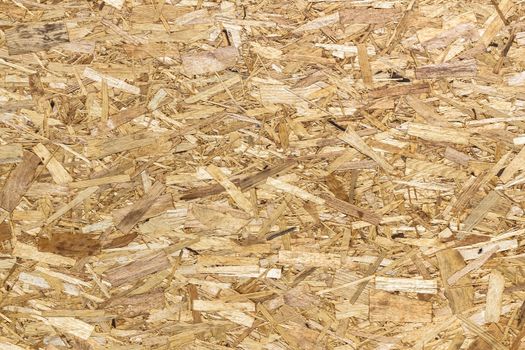 Texture compressed wood shavings. Background.