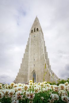 Reykjavik, Iceland, July 2019: Hallgrimskirkja or church of Hallgrimur, Lutheran parish church, by state architect Guðjón Samúelsson. Tallest building in Iceland.