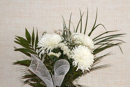 bouquet of white chrysanthemums on a light background