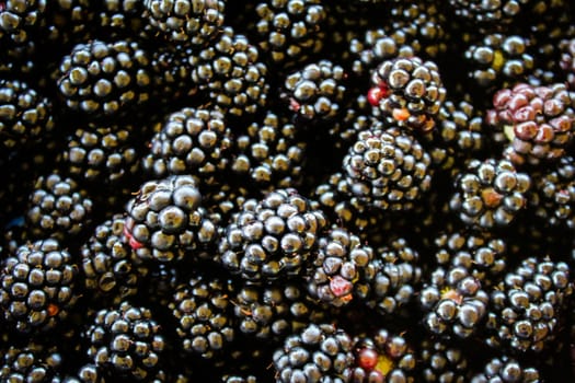 Top view. Full frame of blackberries. Zavidovici, Bosnia and Herzegovina.