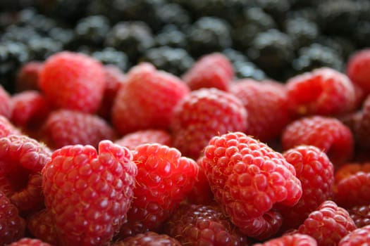 Macro of raspberries. Close up of raspberries and blackberries in the background. Zavidovici, Bosnia and Herzegovina.