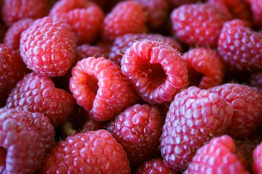 Full frame of raspberries. Pink raspberries. Macro. Close up. Zavidovici, Bosnia and Herzegovina.