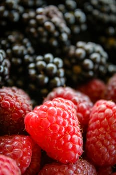 Close up of raspberry. Raspberries and blackberries blurred in the background. Zavidovici, Bosnia and Herzegovina.