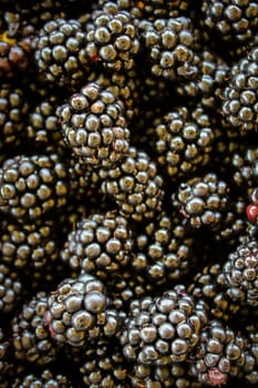 Vertical shot and top view shot. Blackberries. Full frame of blackberries. Zavidovici, Bosnia and Herzegovina.