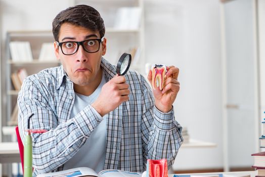 Medical student learning dentistry in classroom