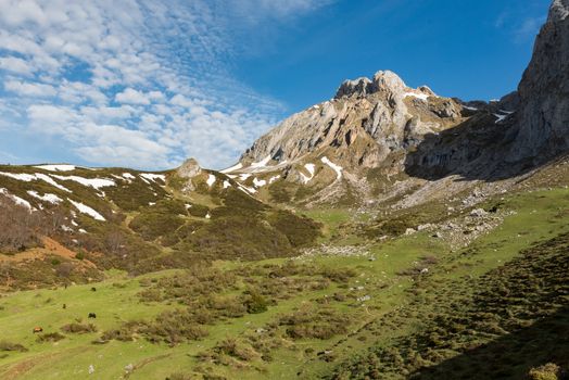Picos de Europa mountains next to Fuente De village Cantabria Spain