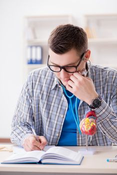 Medical student studying heart in classroom during lecture