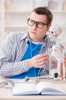 Medical student studying skeleton in classroom during lecture