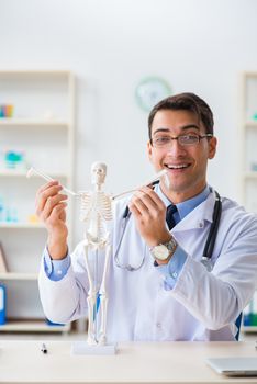Doctor student studying the bones of skeleton