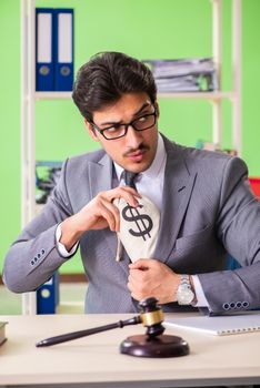 Young handsome lawyer working in the office 