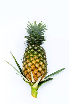 Single whole pineapple on white background.