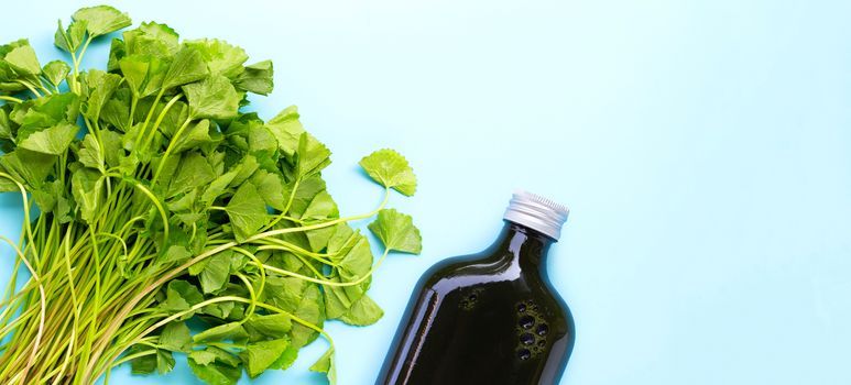 Gotu kola leaves juice for health on blue background. Copy space