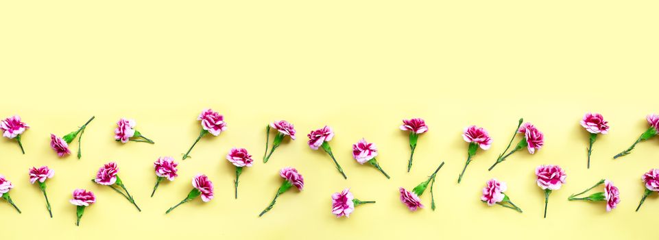 Carnation flower on yellow background. Top view