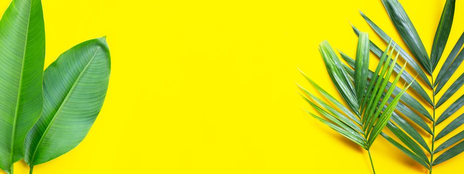 Tropical green leaves on yellow background. Copy space