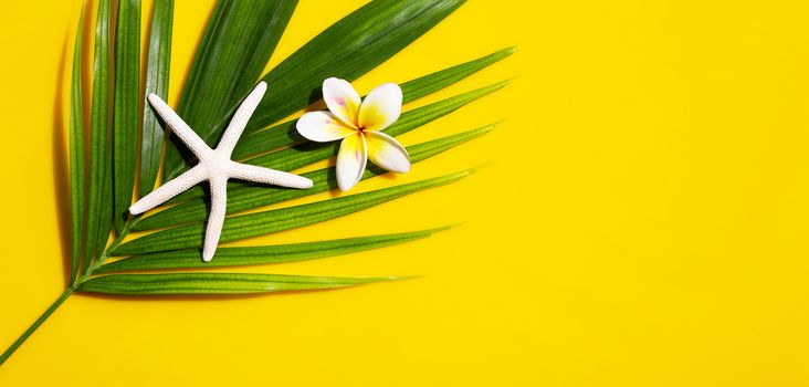 Starfish with plumeria or frangipani flower on tropical palm leaves on yellow background. Enjoy summer holiday concept. Top view