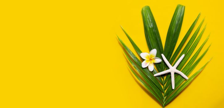 Starfish with plumeria or frangipani flower on tropical palm leaves on yellow background. Enjoy summer holiday concept. Copy space