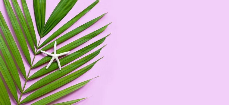 Starfish on tropical palm leaves on pink background. Enjoy summer holiday concept. Copy space