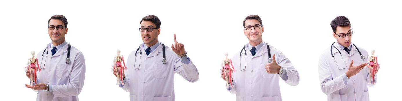 Young male doctor with skeleton isolated on white