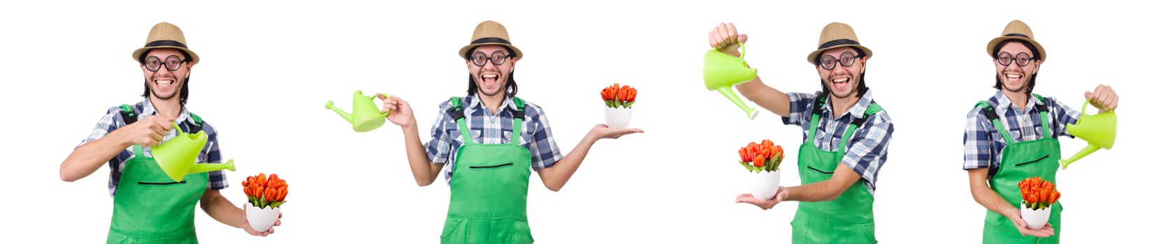 Young funny gardener with tulips isolated oin white