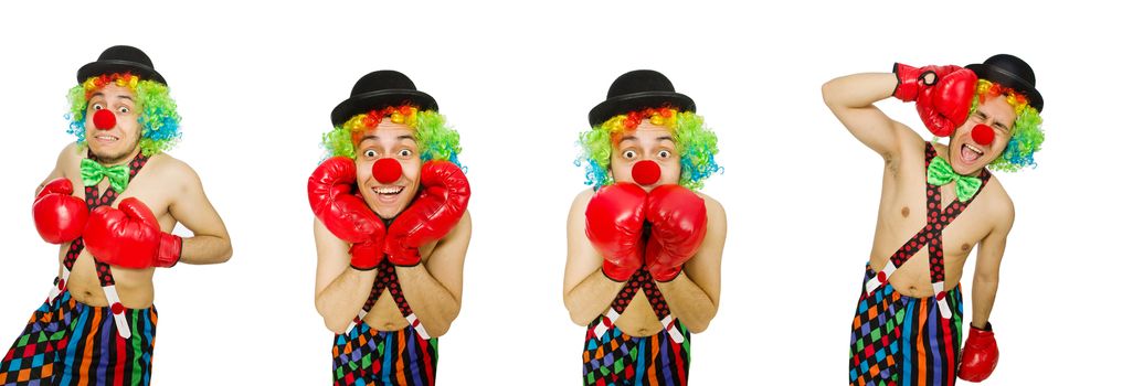 Clown with boxing gloves isolated on the white