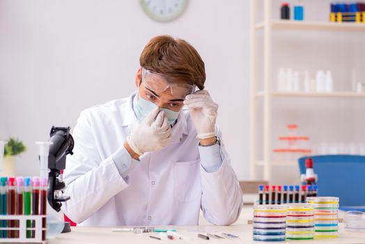 Young chemist working in the lab 