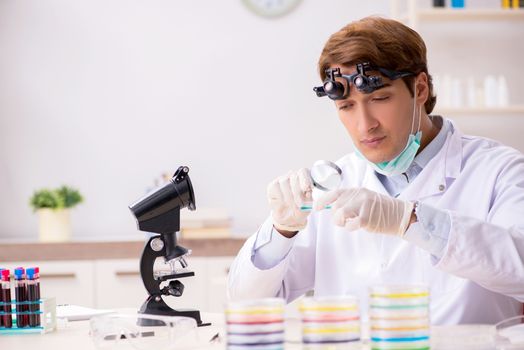 Young chemist working in the lab 