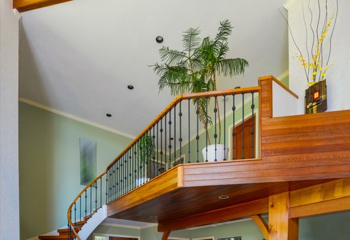Decorative tree on gallery in luxury house interior