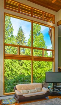 Wooden trim of beautiful living room interior with the rag on hardwood floor. Leather couch and TV set in front of huge window in living room