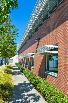 Brick wall of office building with weather shields above the windows. Office building with small hedge and concrete pathway along the wall