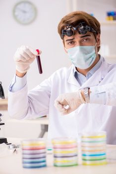 Young chemist working in the lab 